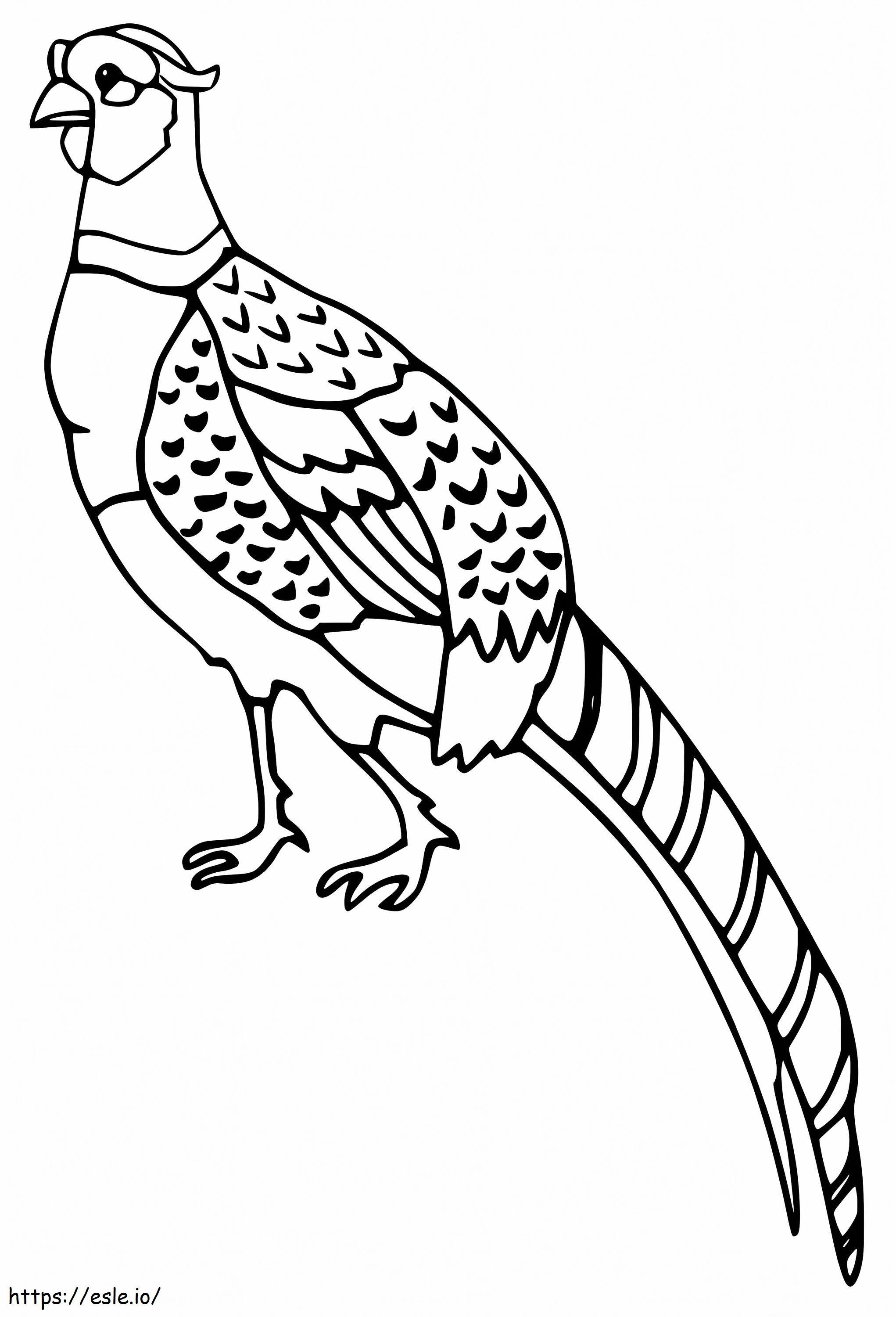 Simple Pheasant coloring page