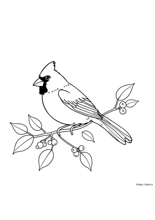 Coloriage Cardinal À Imprimer