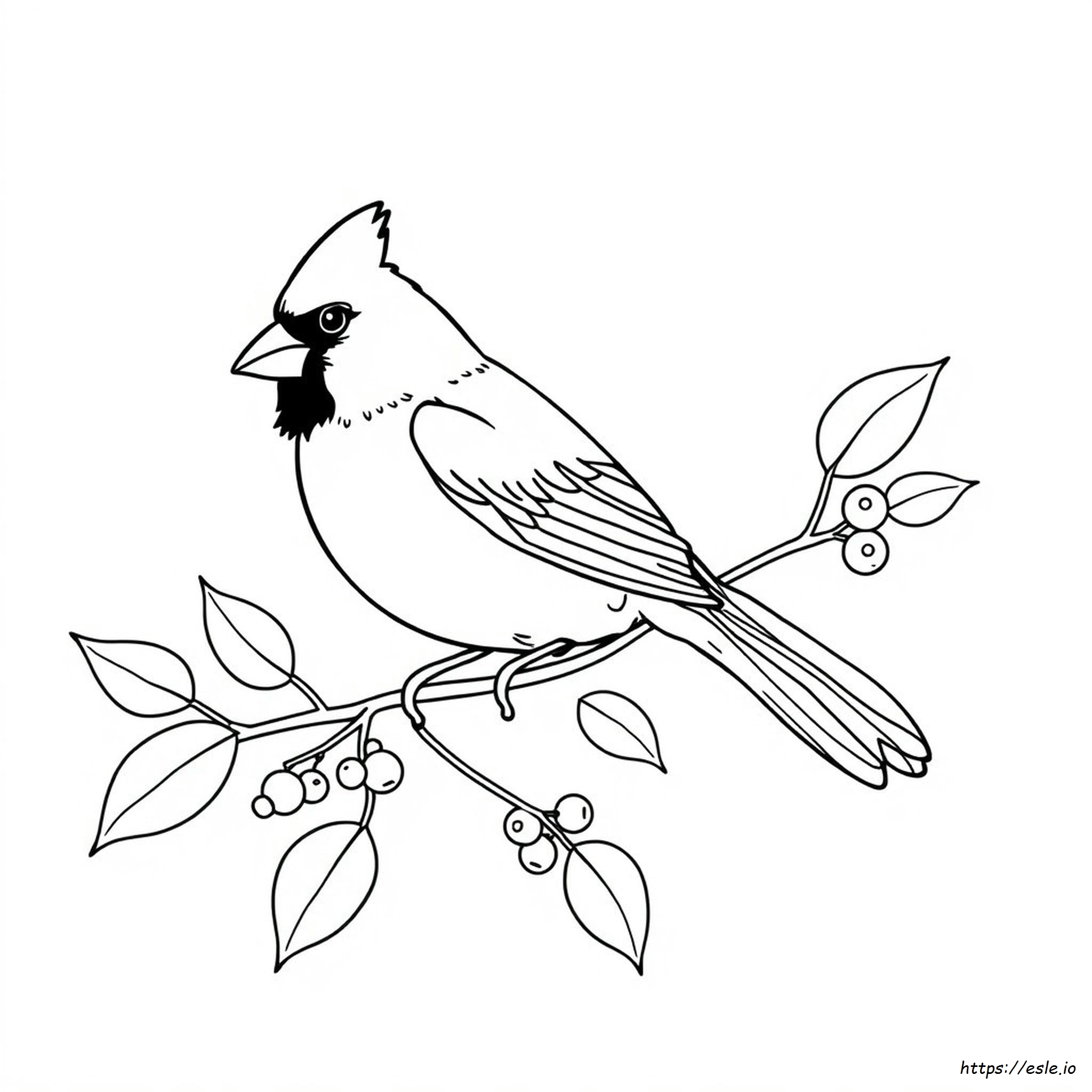 Printable Cardinal Coloring Page