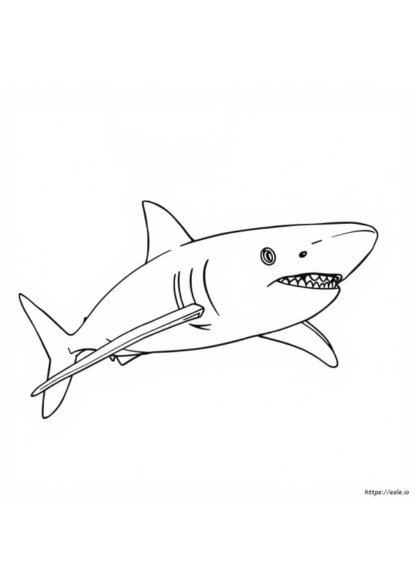 Coloriages Grand Requin Blanc