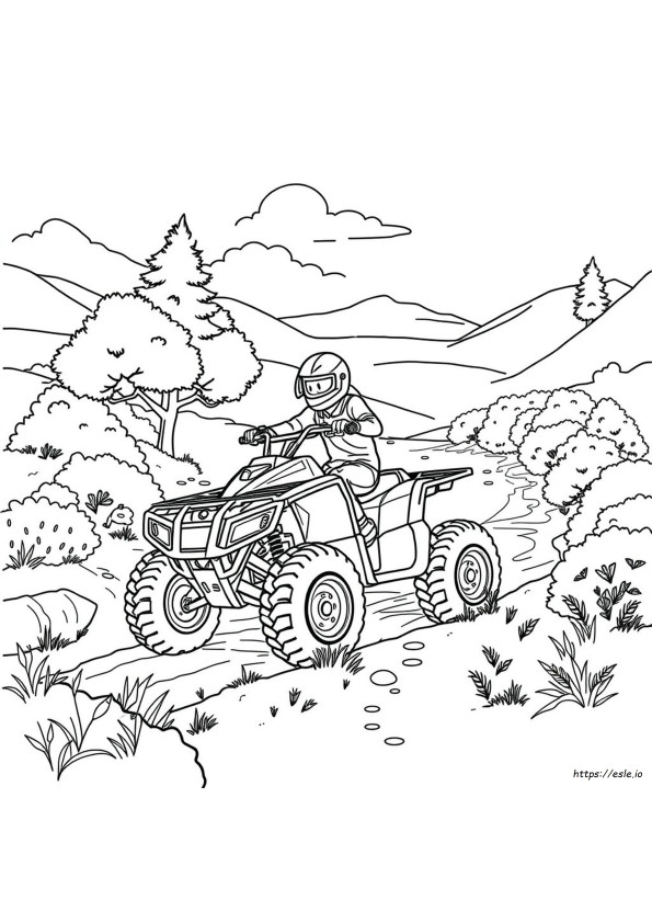 Quad De Colorat