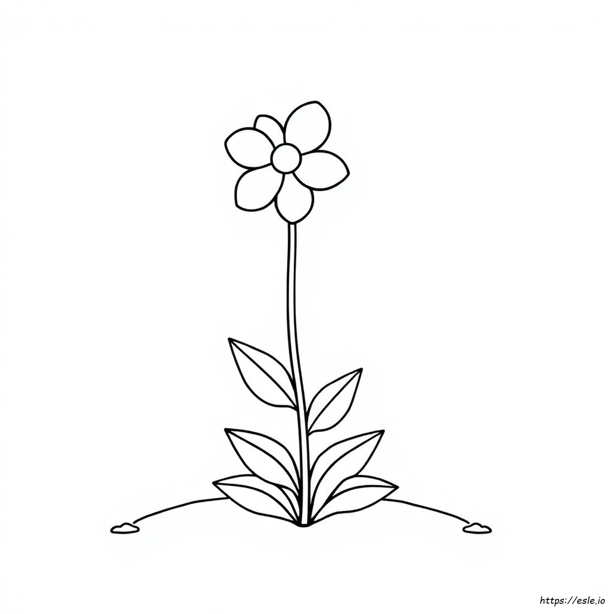 Einfache Blumen Ausmalbilder Zum Ausdrucken