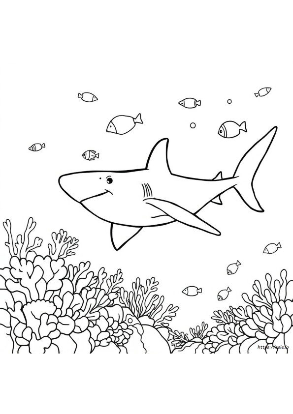Coloriage Requin  Imprimer