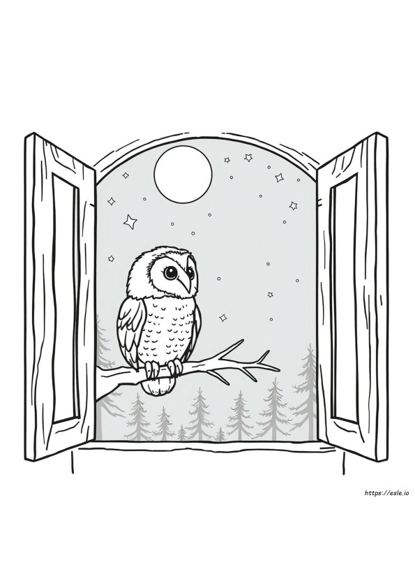Barn Owl Colouring