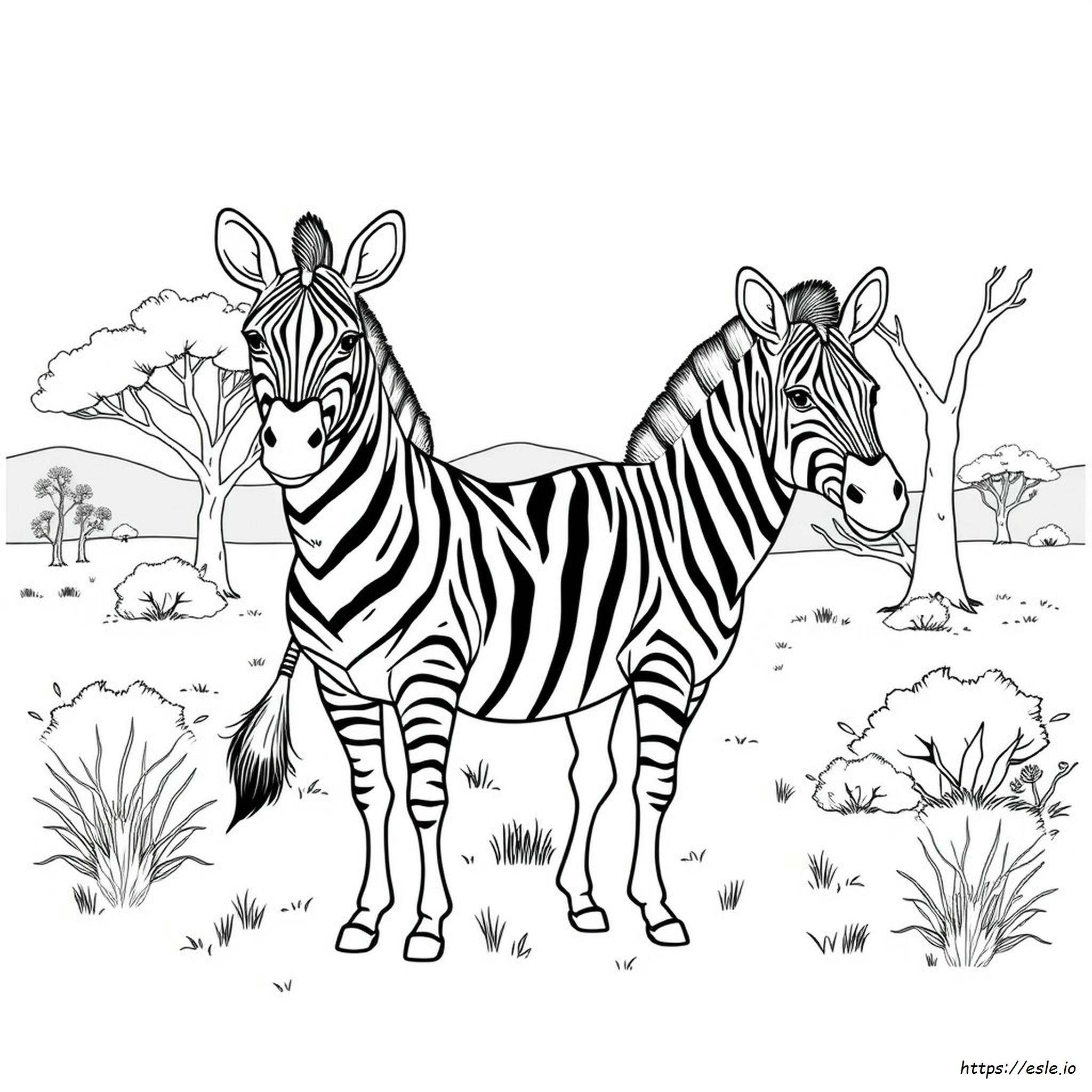 Zebra In Bianco E Nero Da Colorare