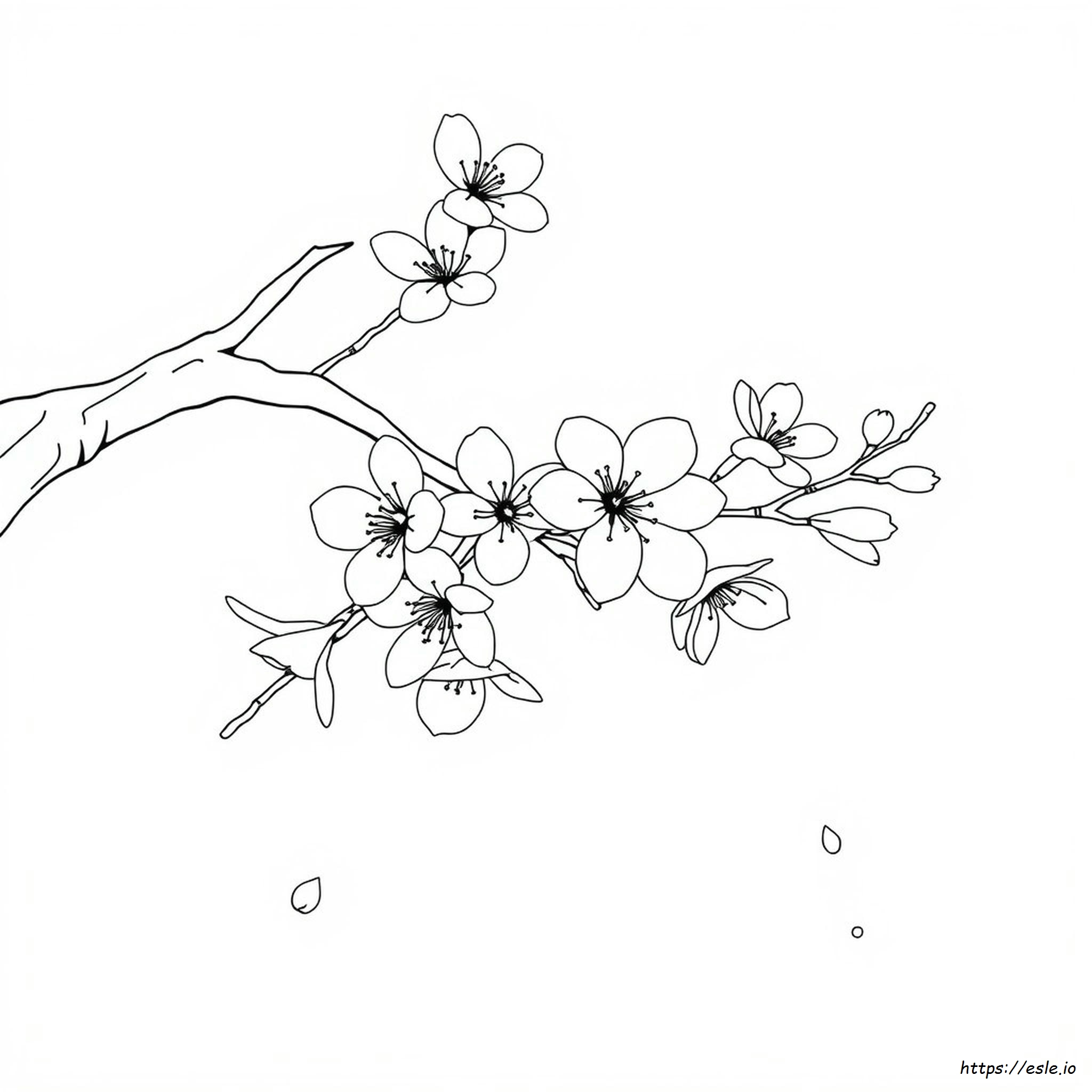 Realistic Cherry Blossom Coloring Page