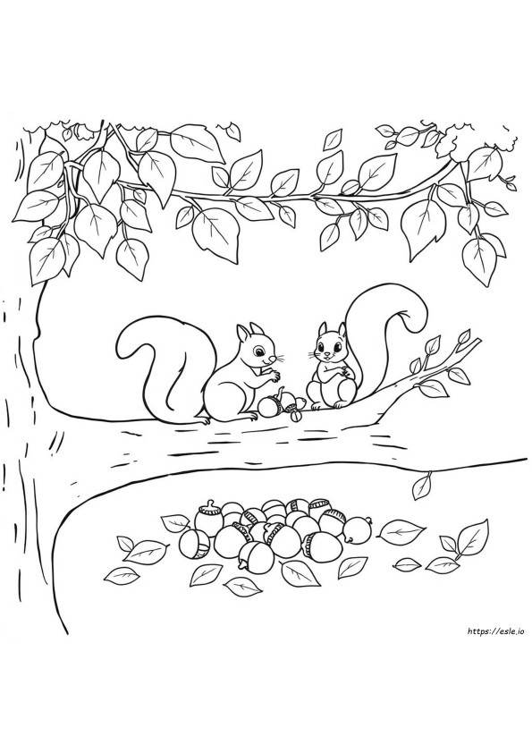 Squirrel Family Coloring Page