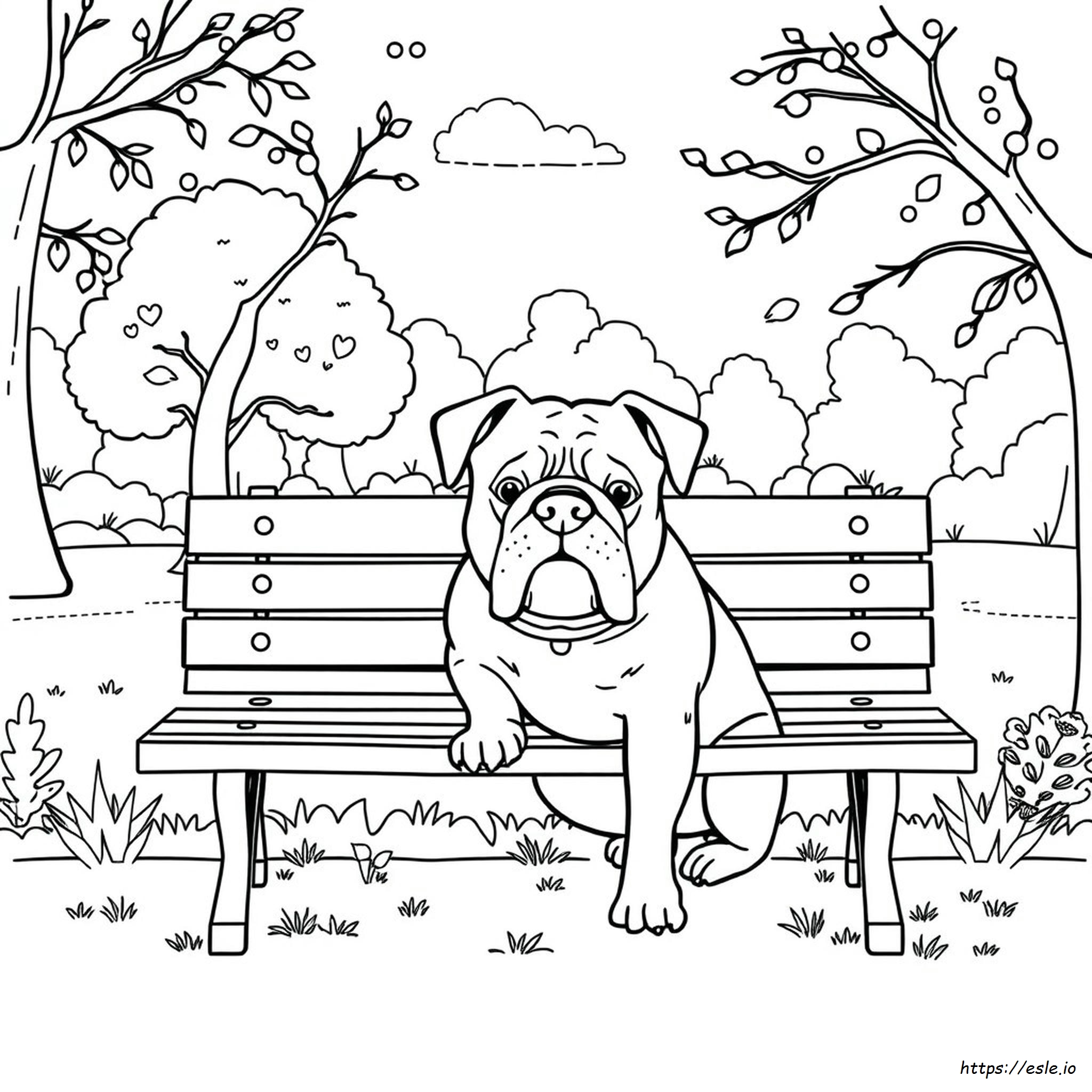 Bulldog Kleurplaten Voor Volwassenen kleurplaat