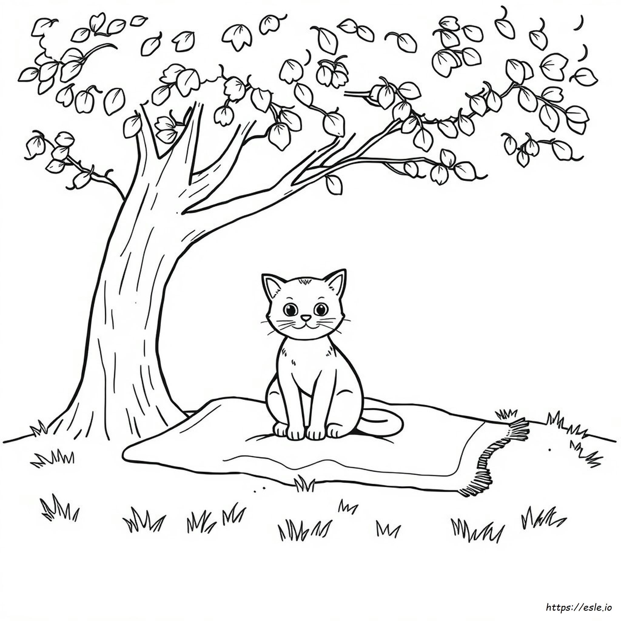 Disegno Di Gatto Da Colorare