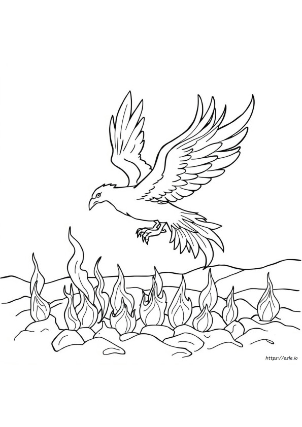 Phoenix Colouring In