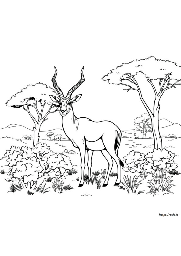 Kolorowanki Kudu