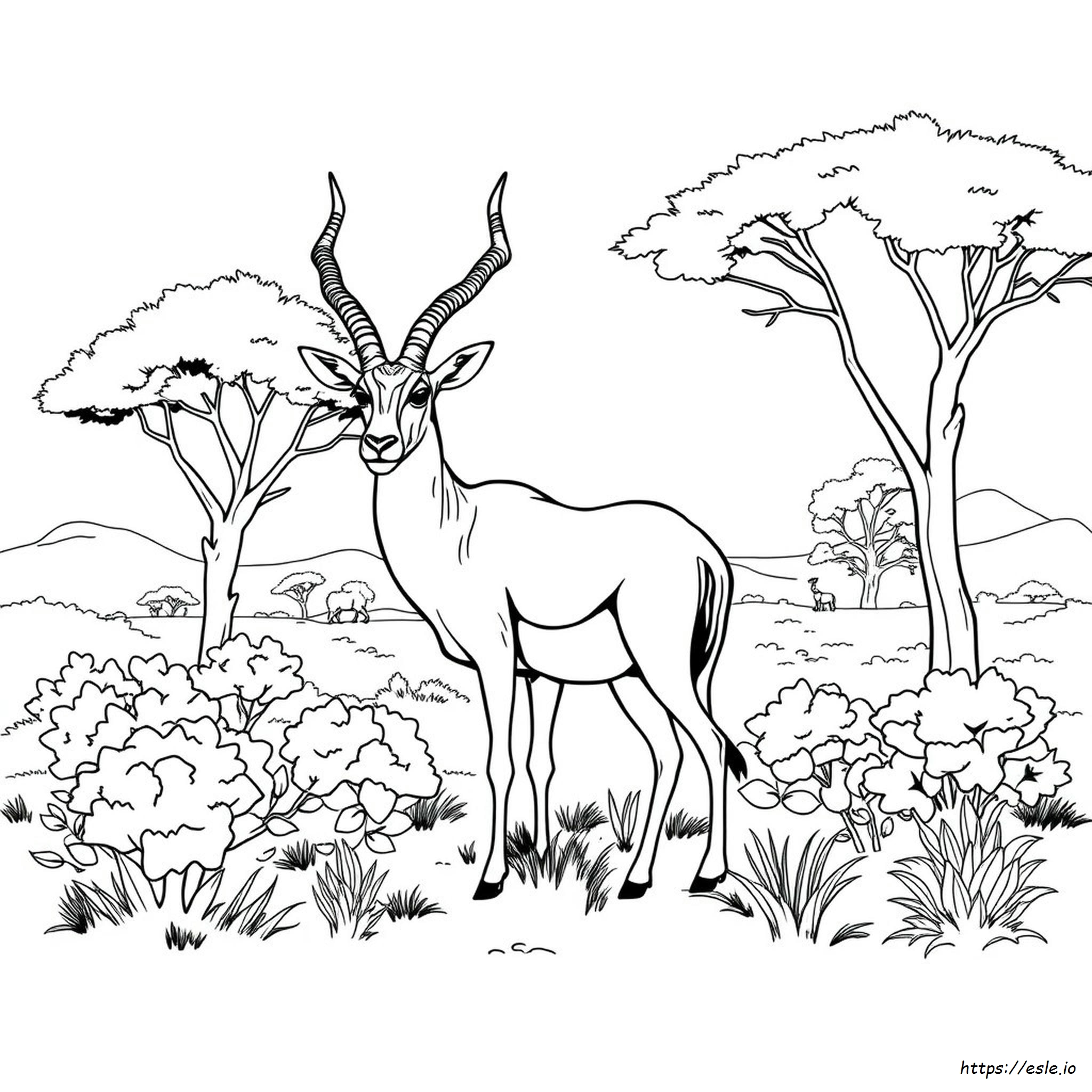 Kudu De Colorat