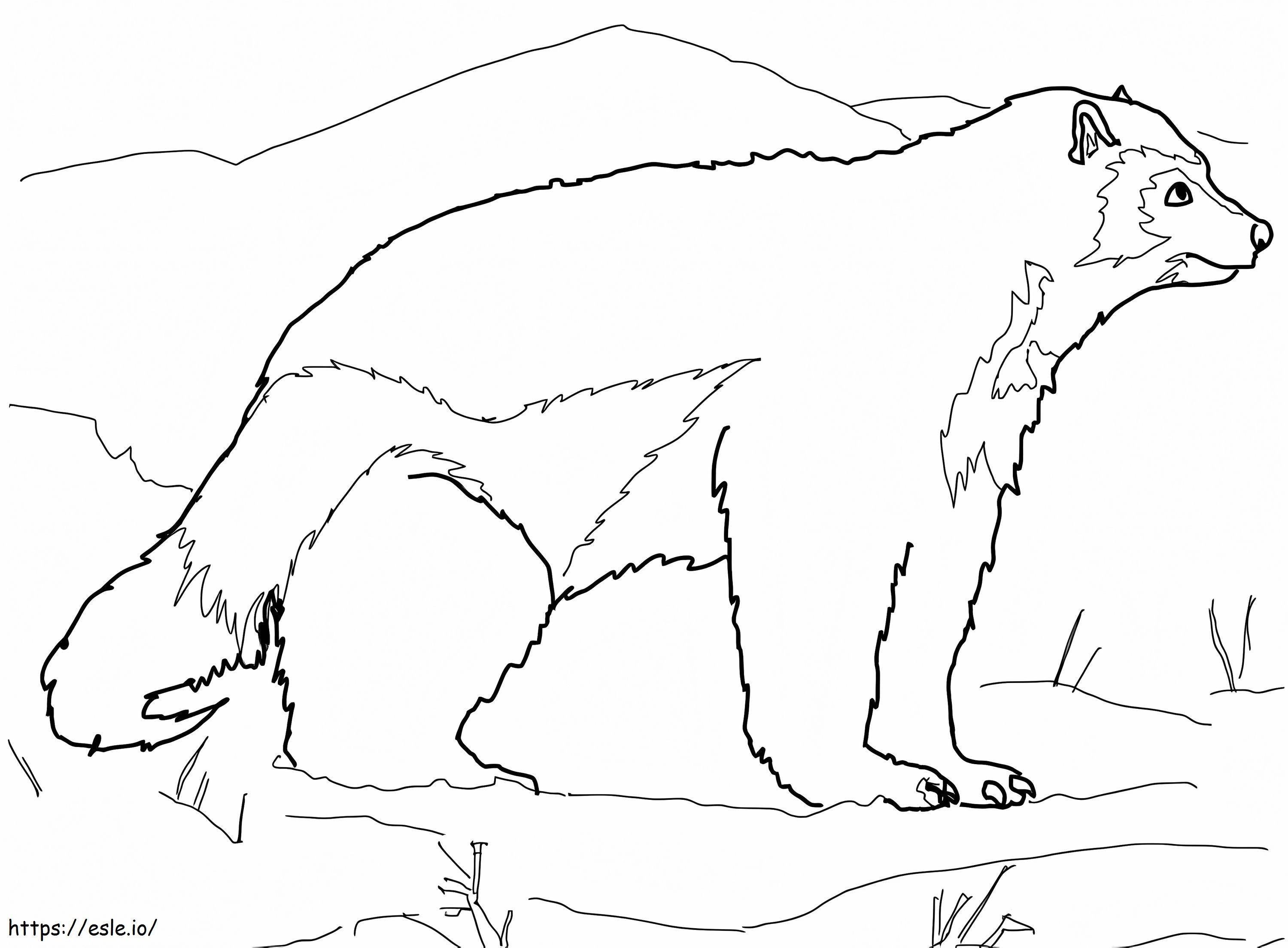 Arctic Wolverine coloring page
