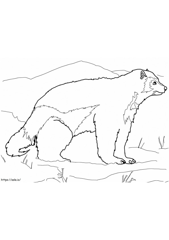 Arctic Wolverine coloring page