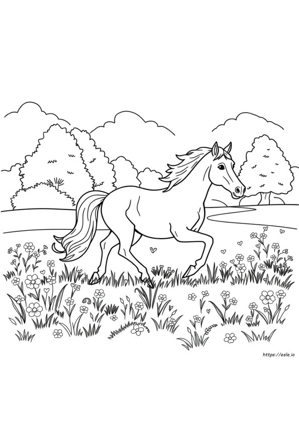 Horse Coloring Names