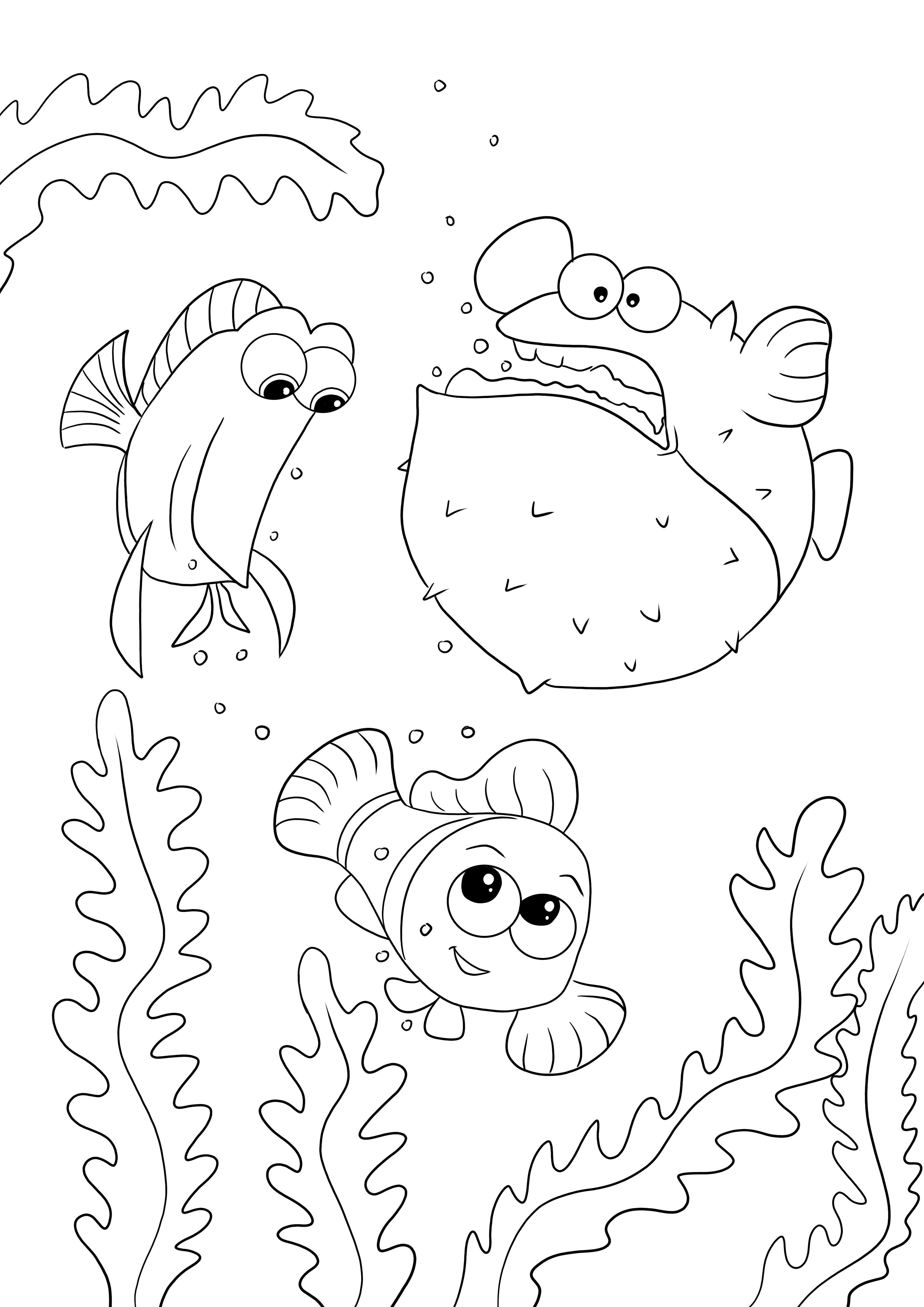 Colorat gratuit imagini Tang Gang-Dory-Nemo pentru copii de toate vârstele