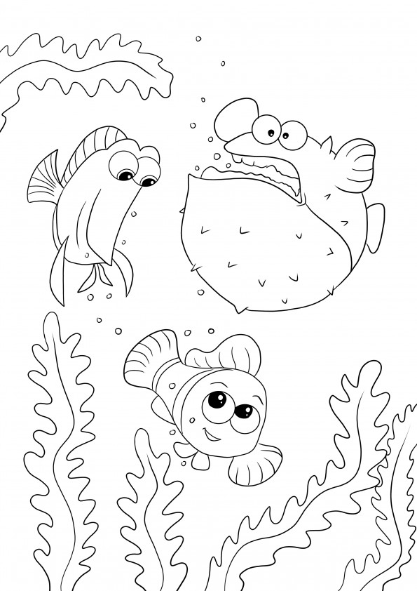 Coloriage gratuit de l'image Tang Gang-Dory-Nemo pour les enfants de tous âges