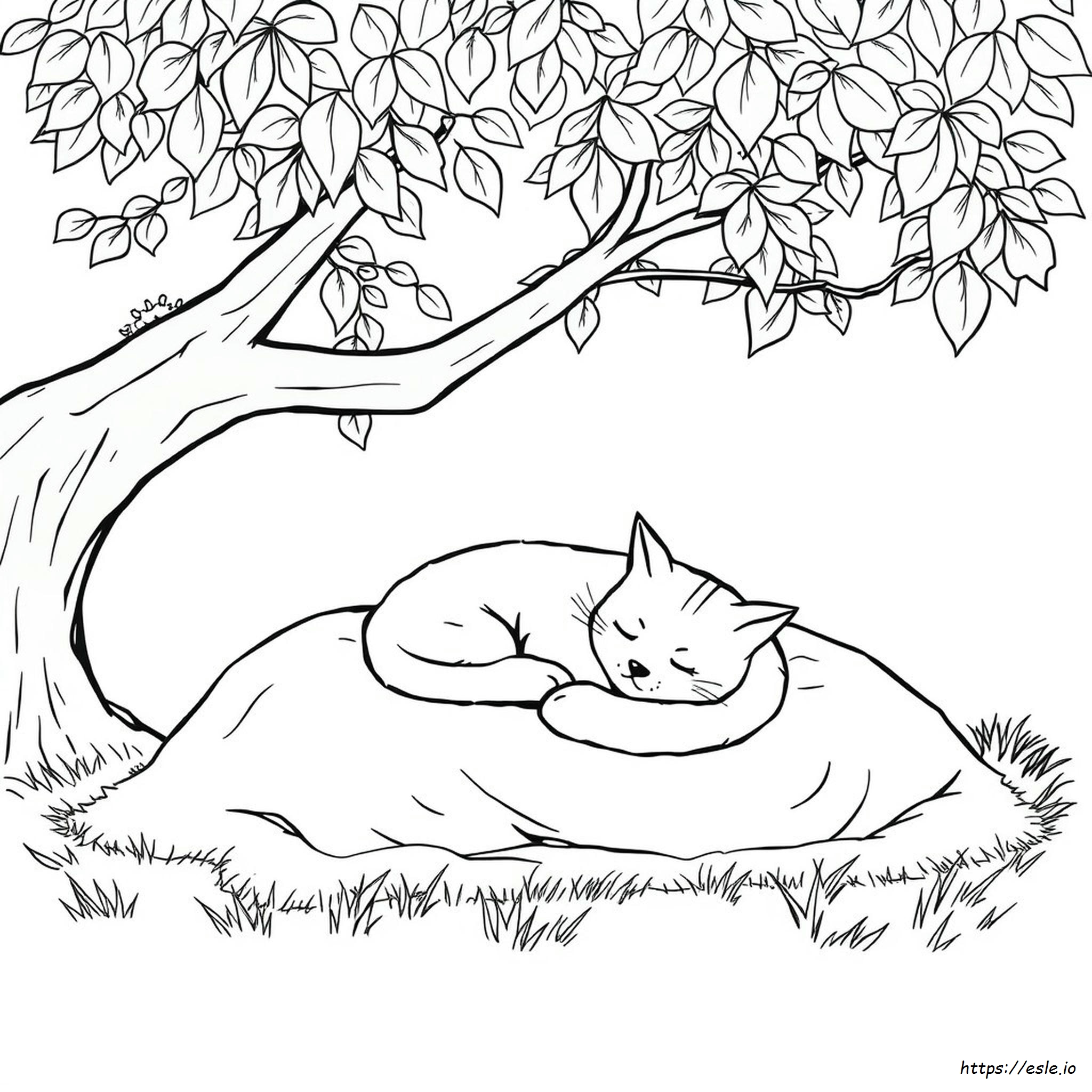 Katzen Nickerchen Ausmalbilder