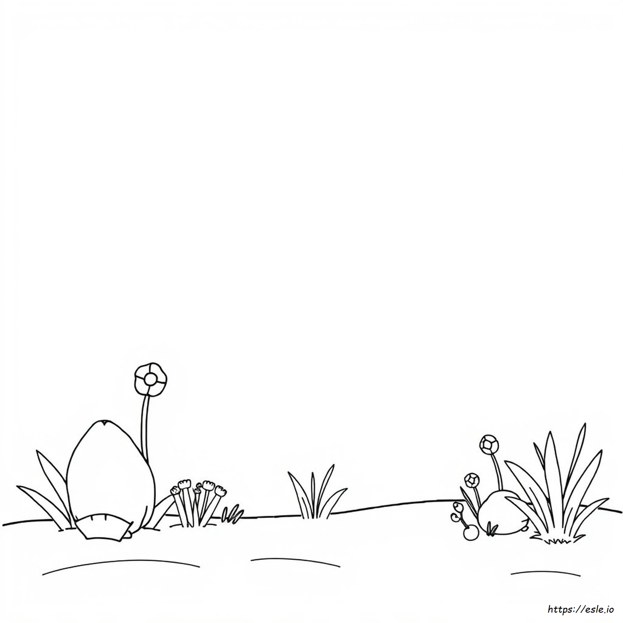 White Page Coloring Book