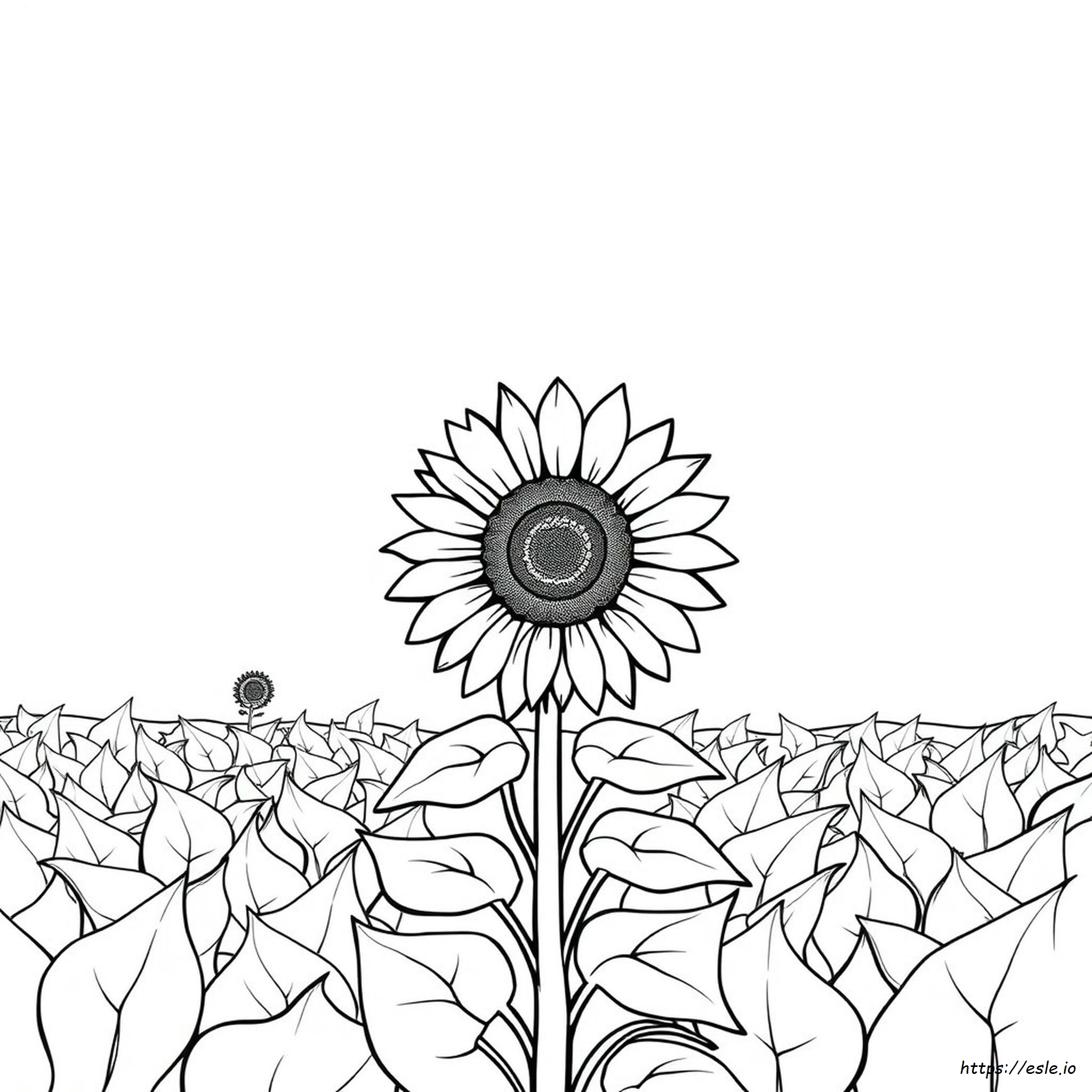 Di Quali Colori Ho Bisogno Per Dipingere Un Girasole