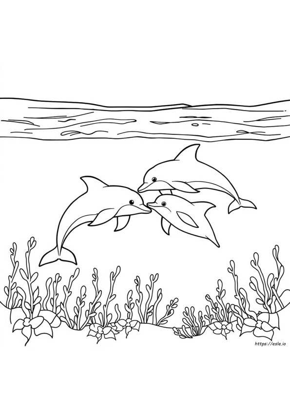 Kolorowanka Delfin Do Druku