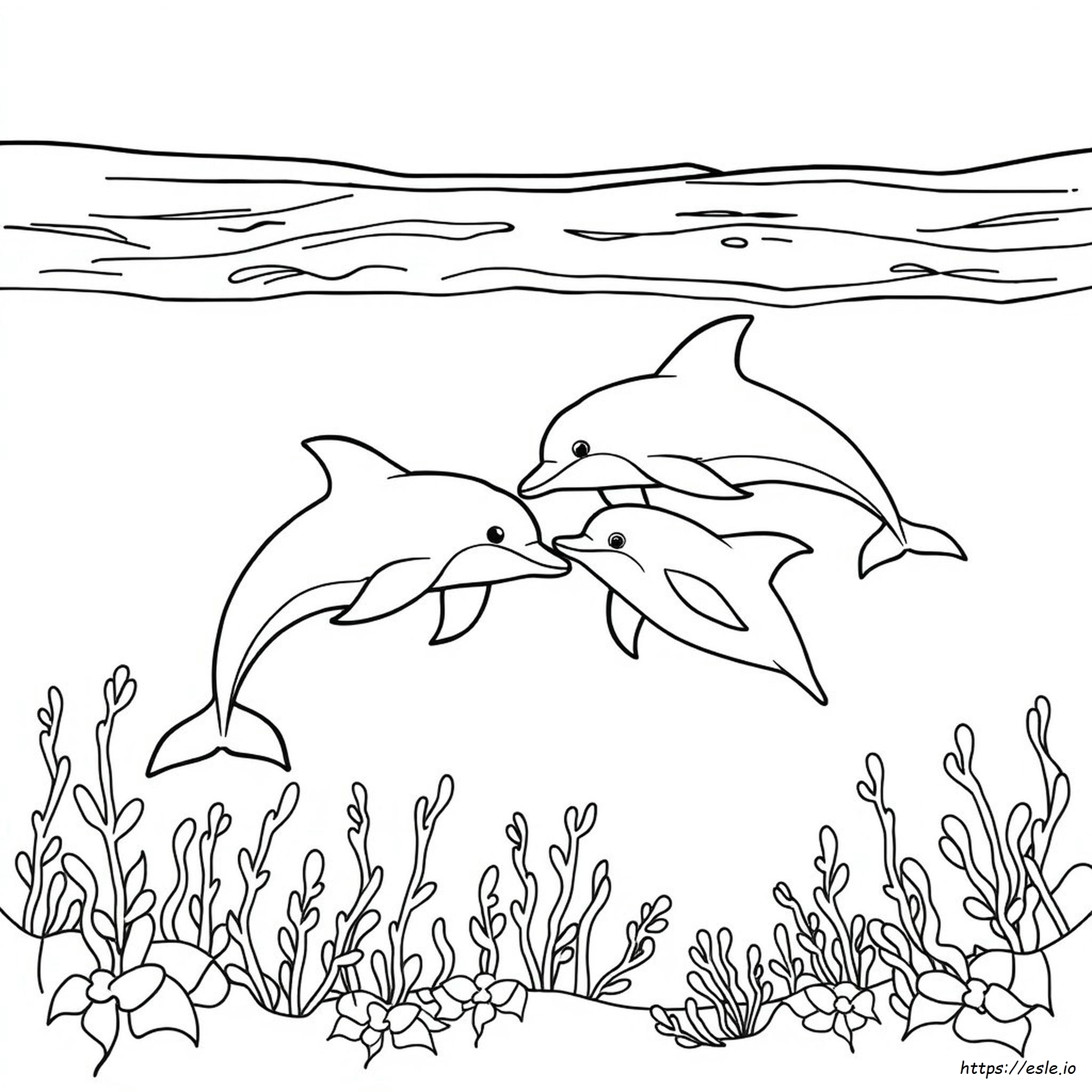 Delfino Da Colorare Da Stampare