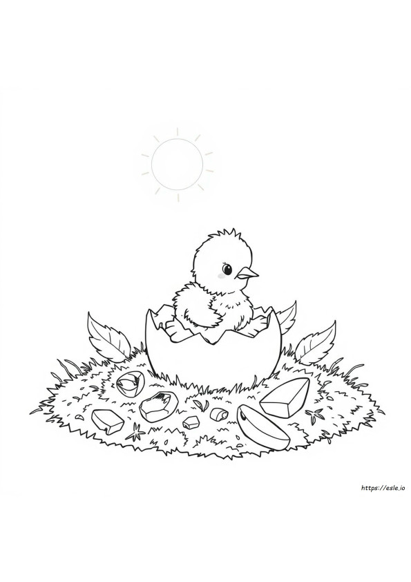 ひよこが生まれる塗り絵