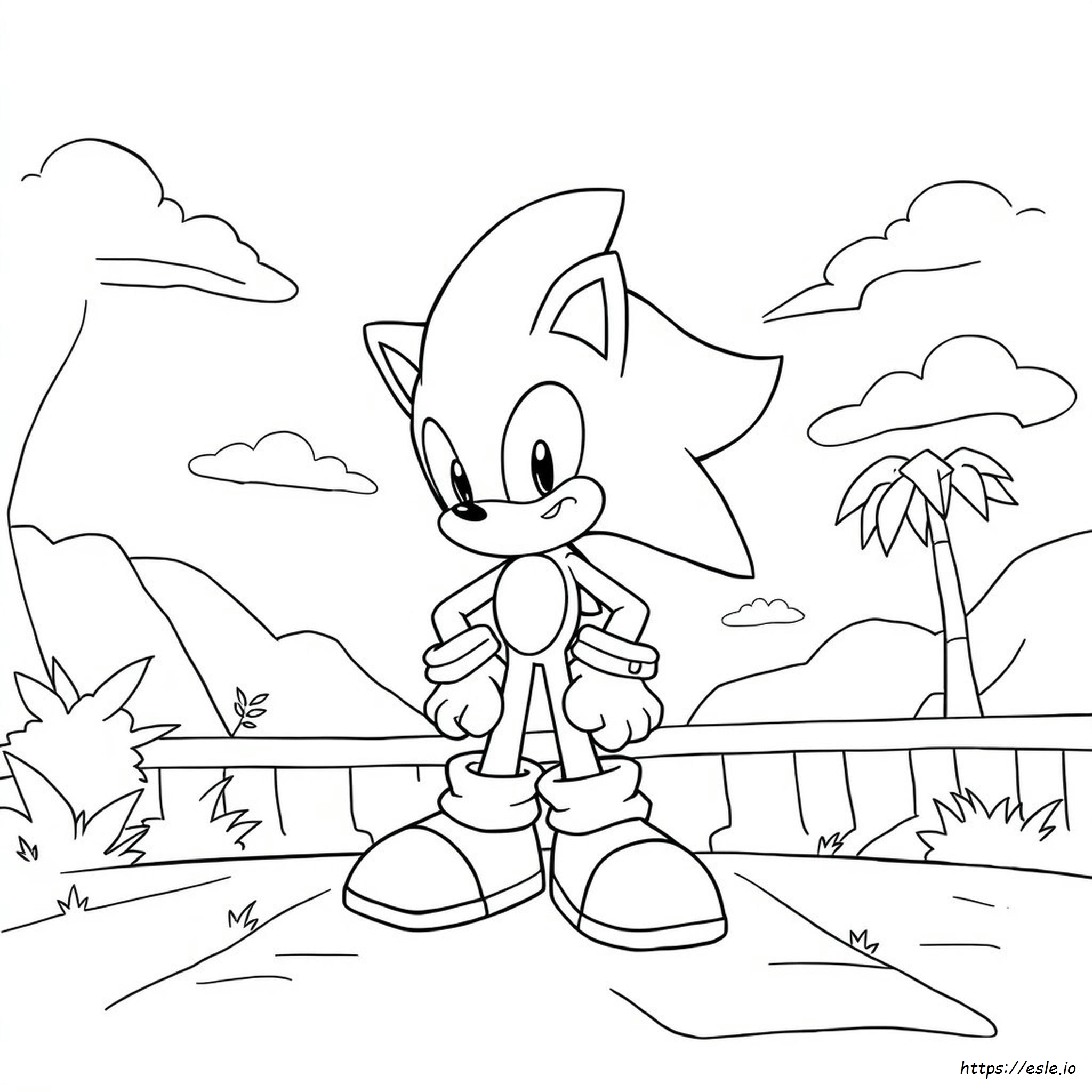 Kolorowanka Sonic Sonic