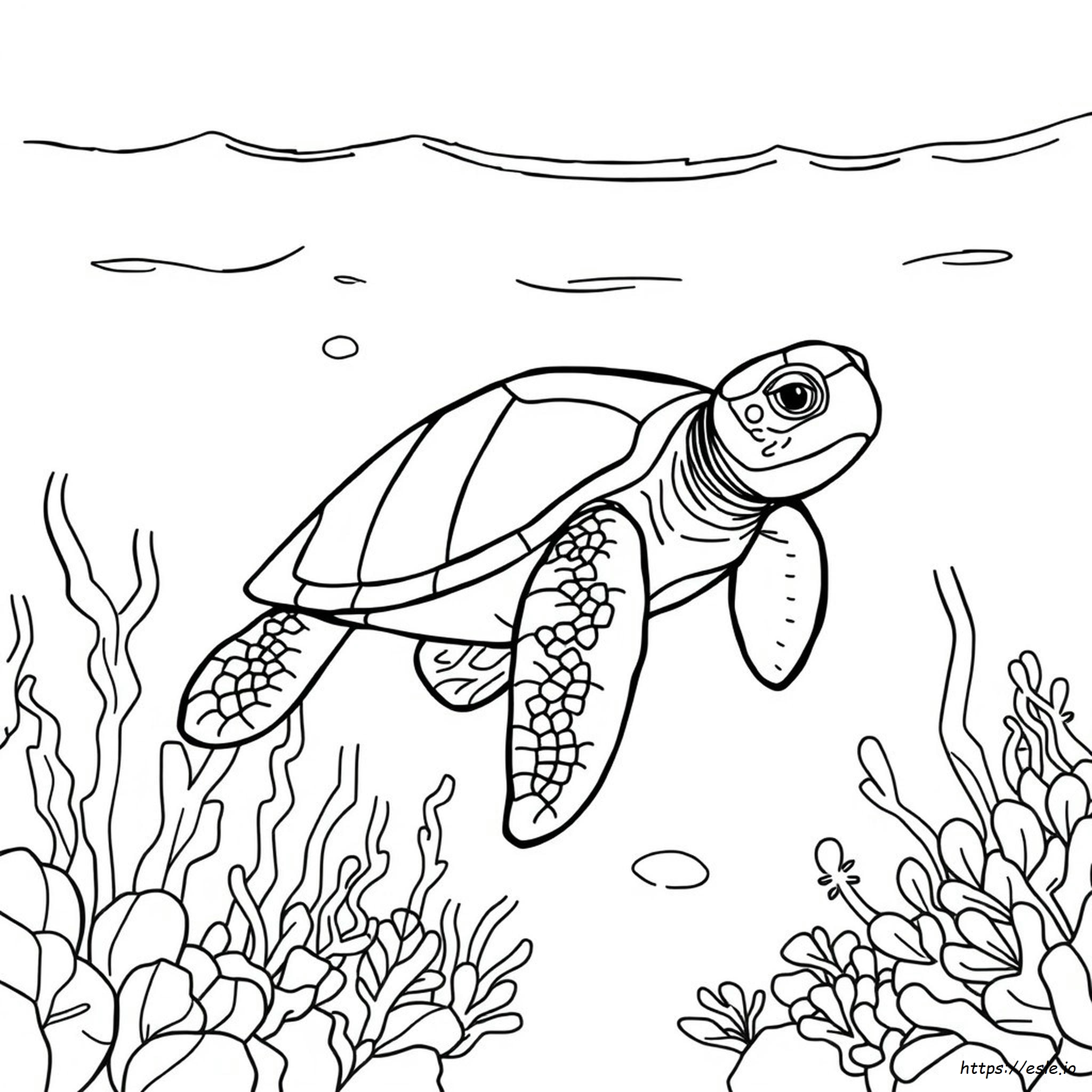 Free Printable Sea Turtle Coloring Pages