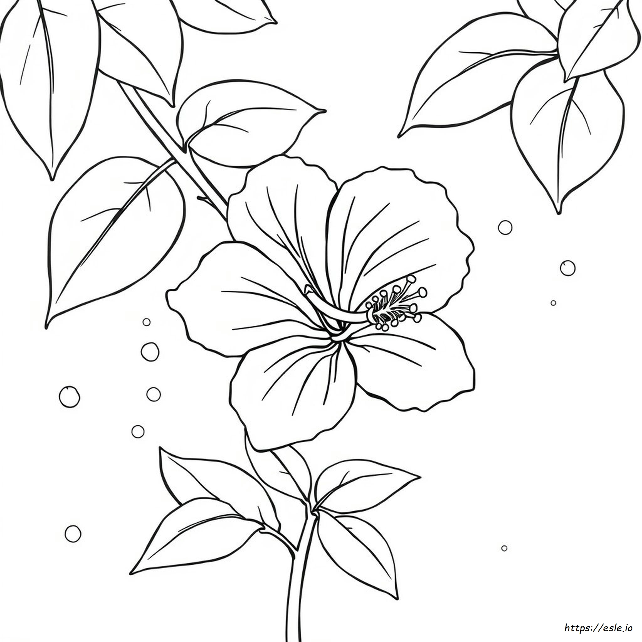 Kolorowanka Z Hibiskusem Do Akwareli