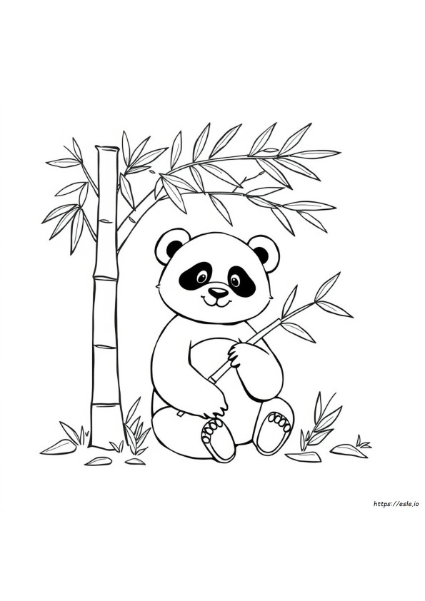 Panda Ausmalbilder