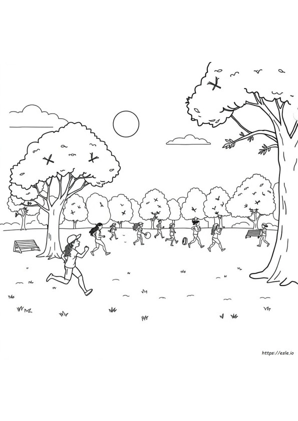 Coloriages D'exercices