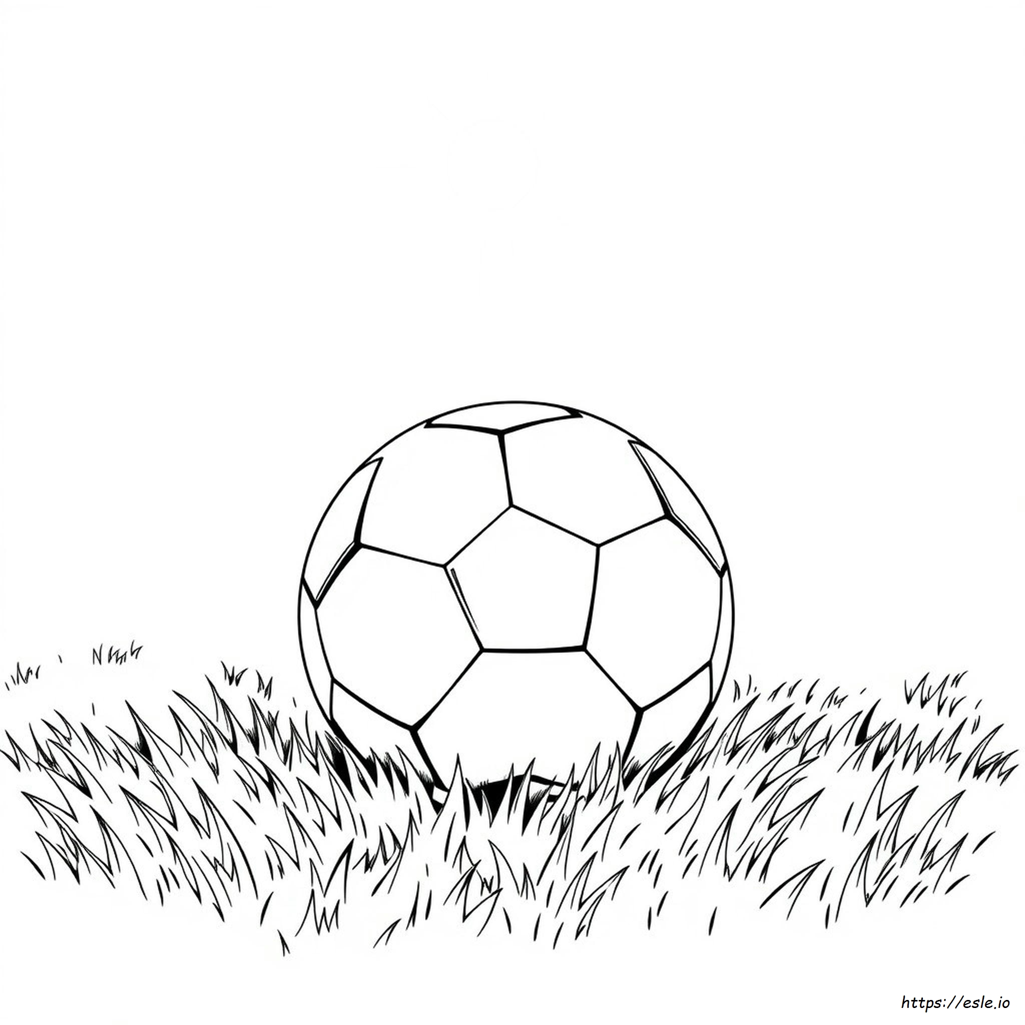 Soccer Ball Coloring Page