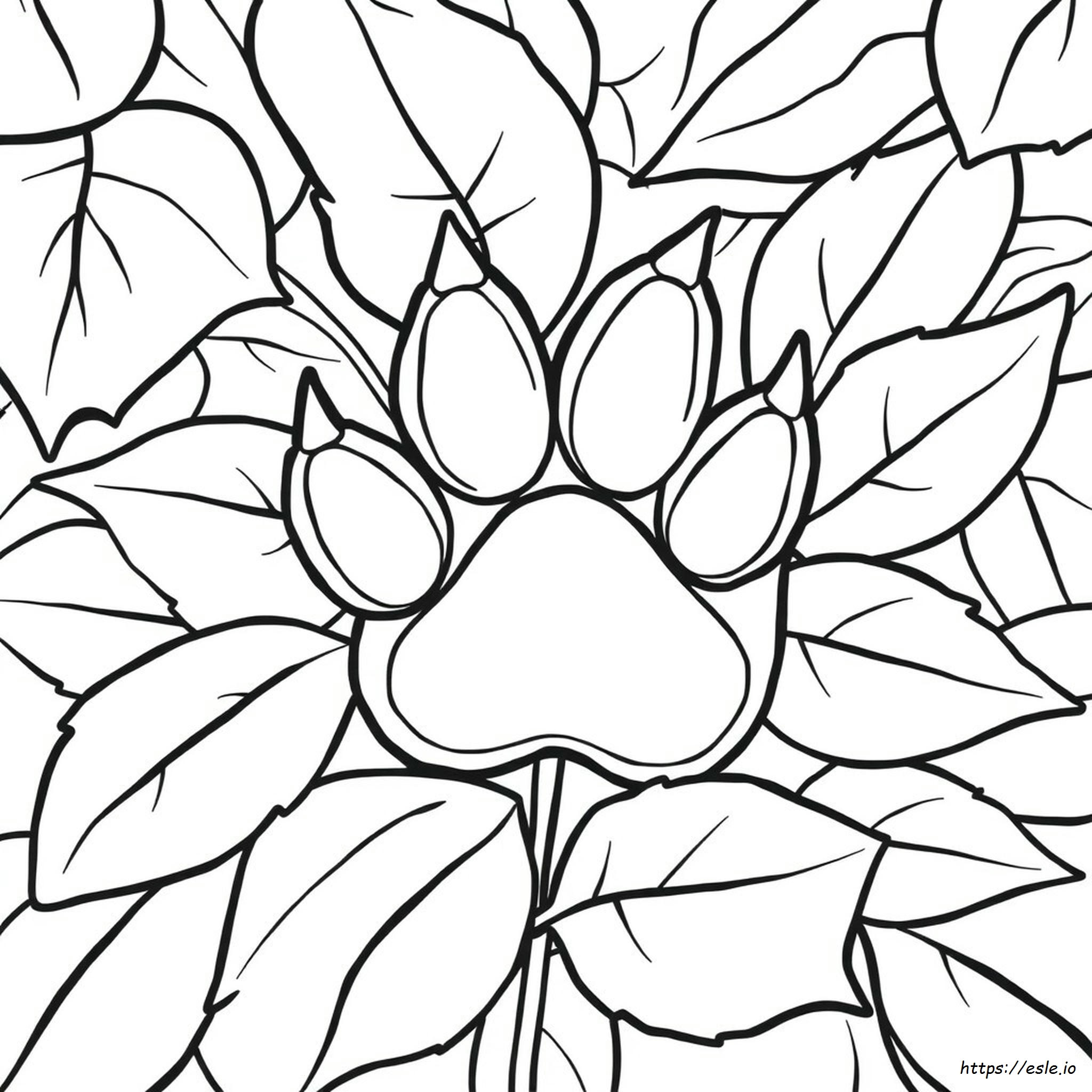 Paw Colouring Pages