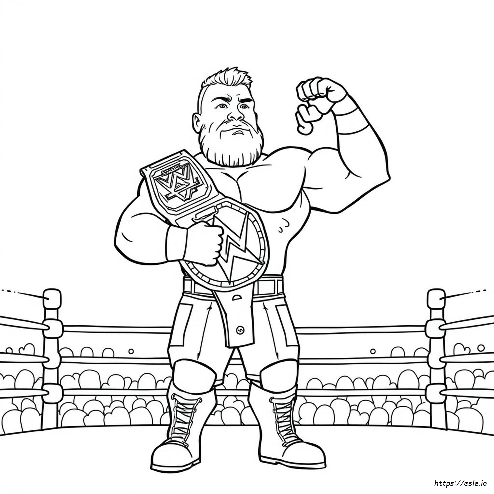 Brock Lesnar De Colorat
