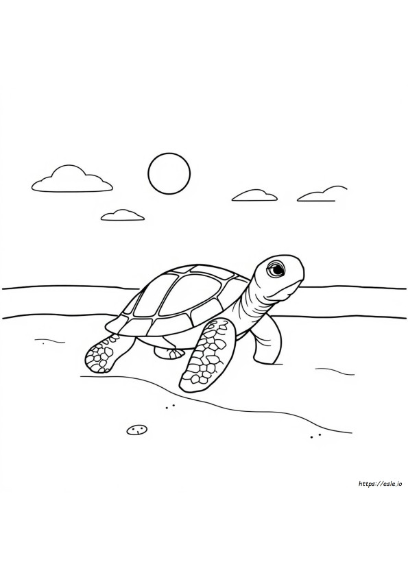 Tartaruga Para Colorir Pdf