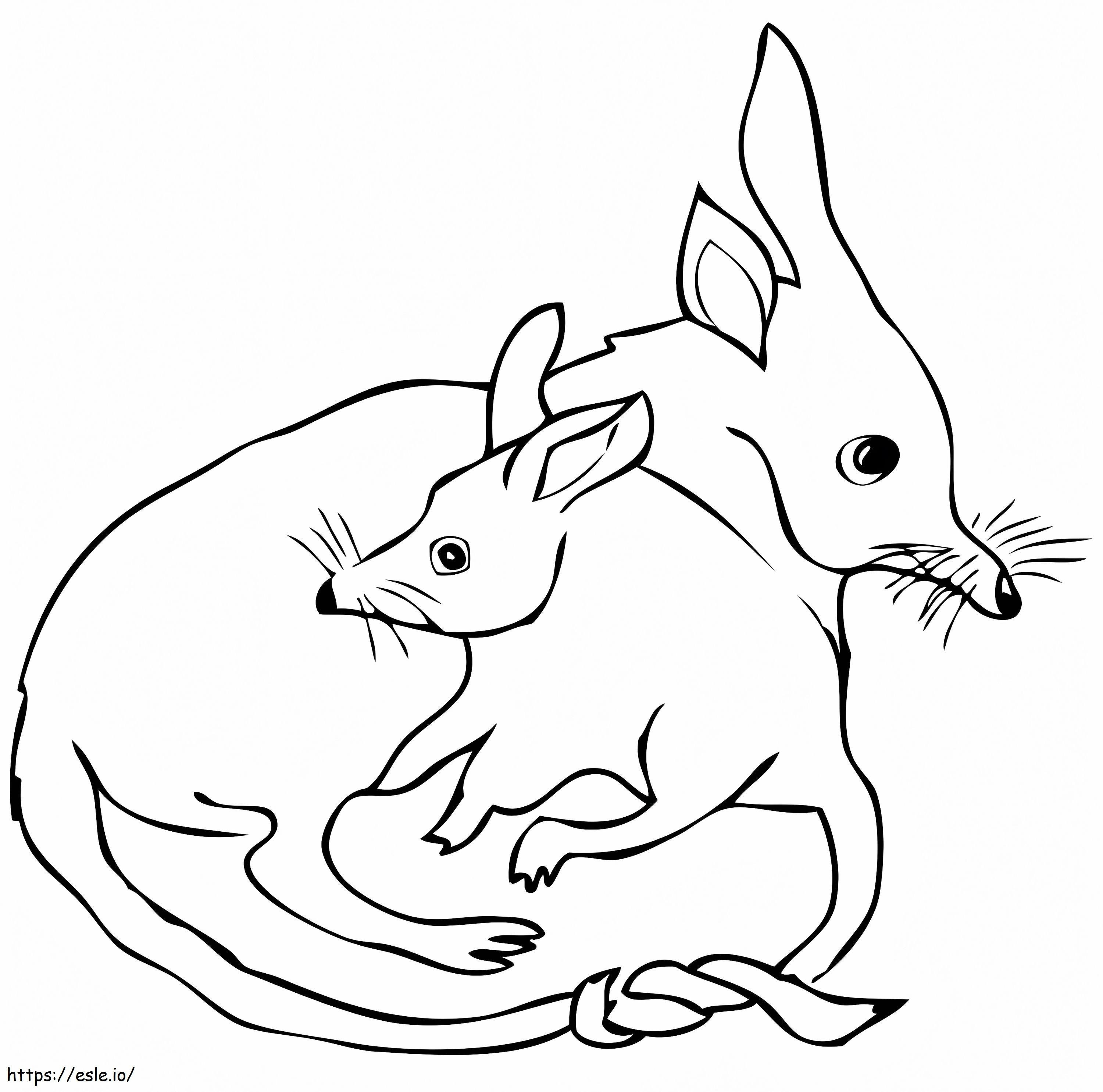 Mother And Baby Bilby coloring page