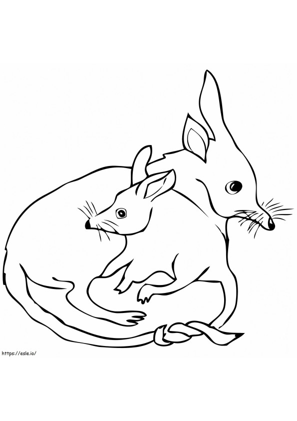 Mother And Baby Bilby coloring page