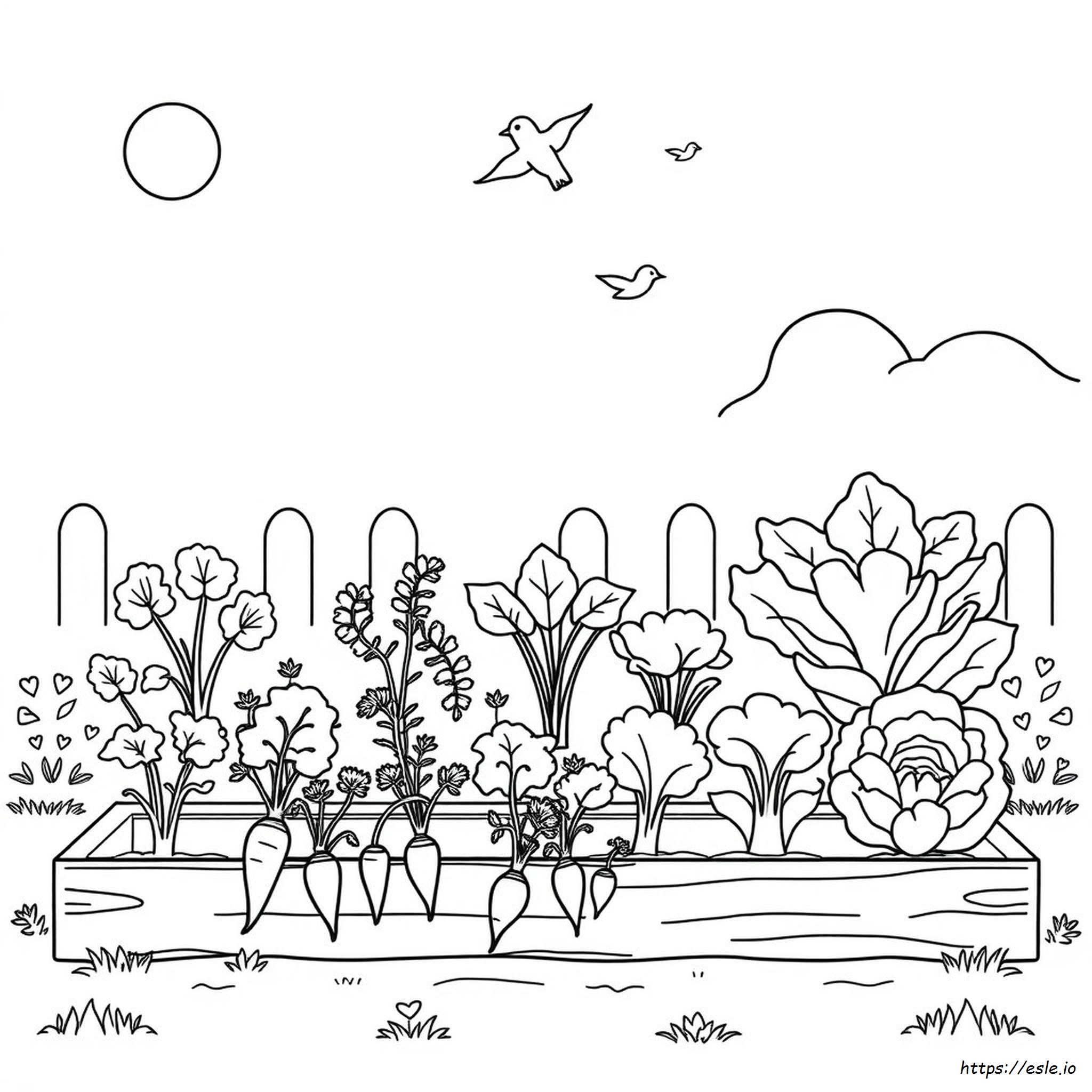 Free Printable Vegetable Garden Coloring Pages