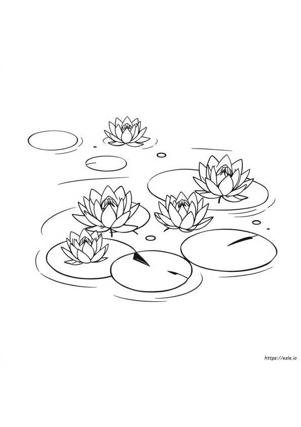 Coloriage Nénuphar