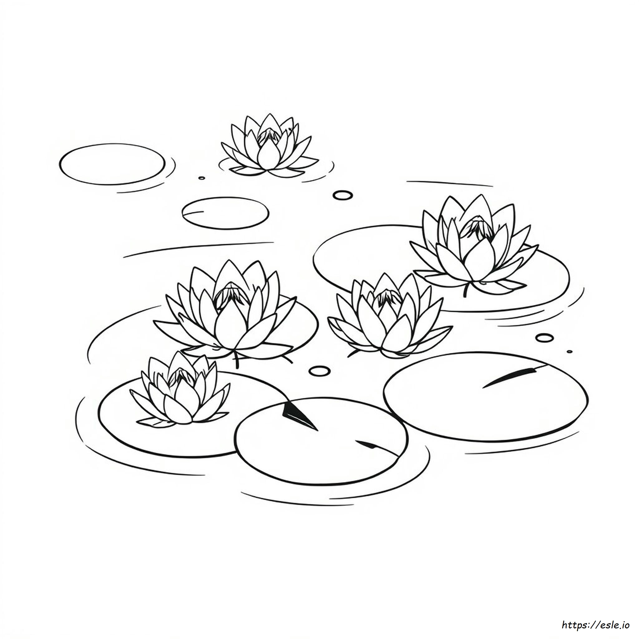 Water Lily Pad Coloring Page