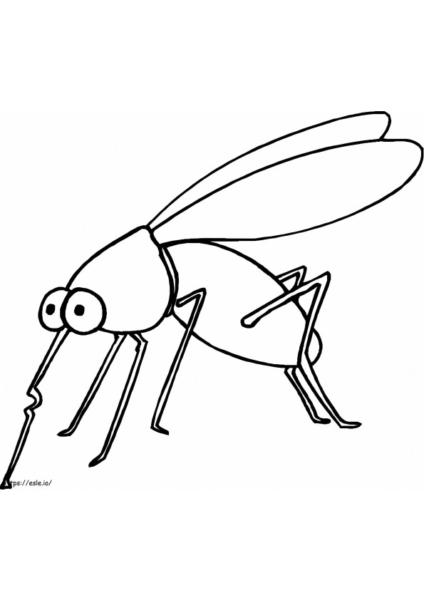 Un mosquito normal para colorear