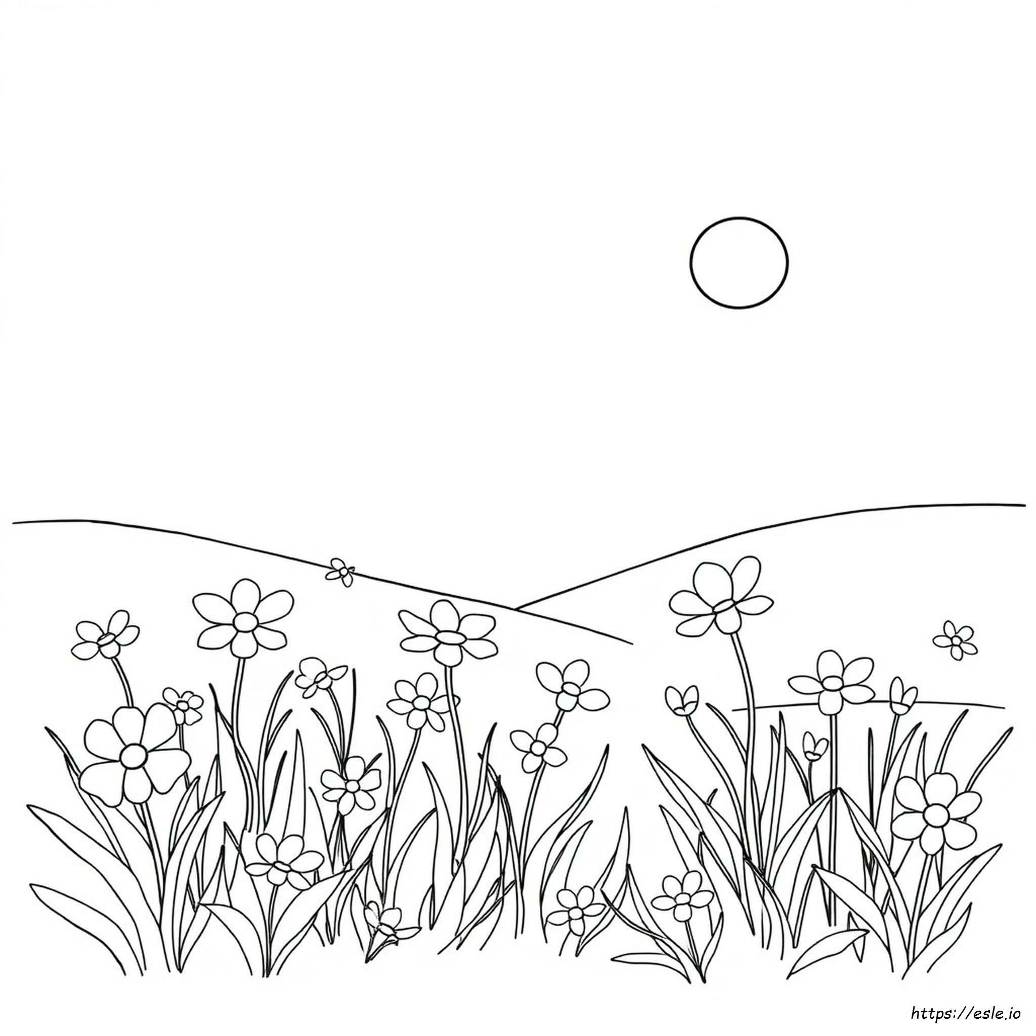 Anti Stress Coloring Pages Printable