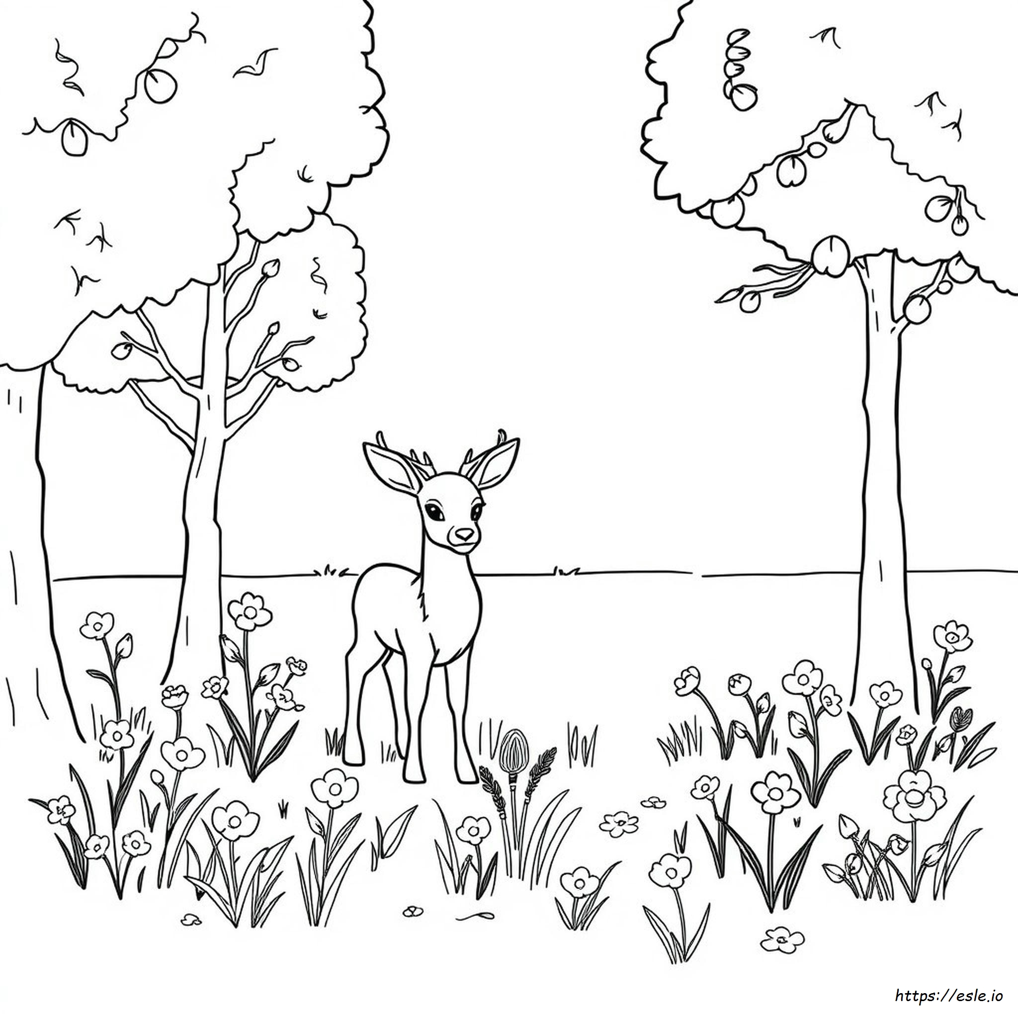 Disegni Di Cervi Da Colorare