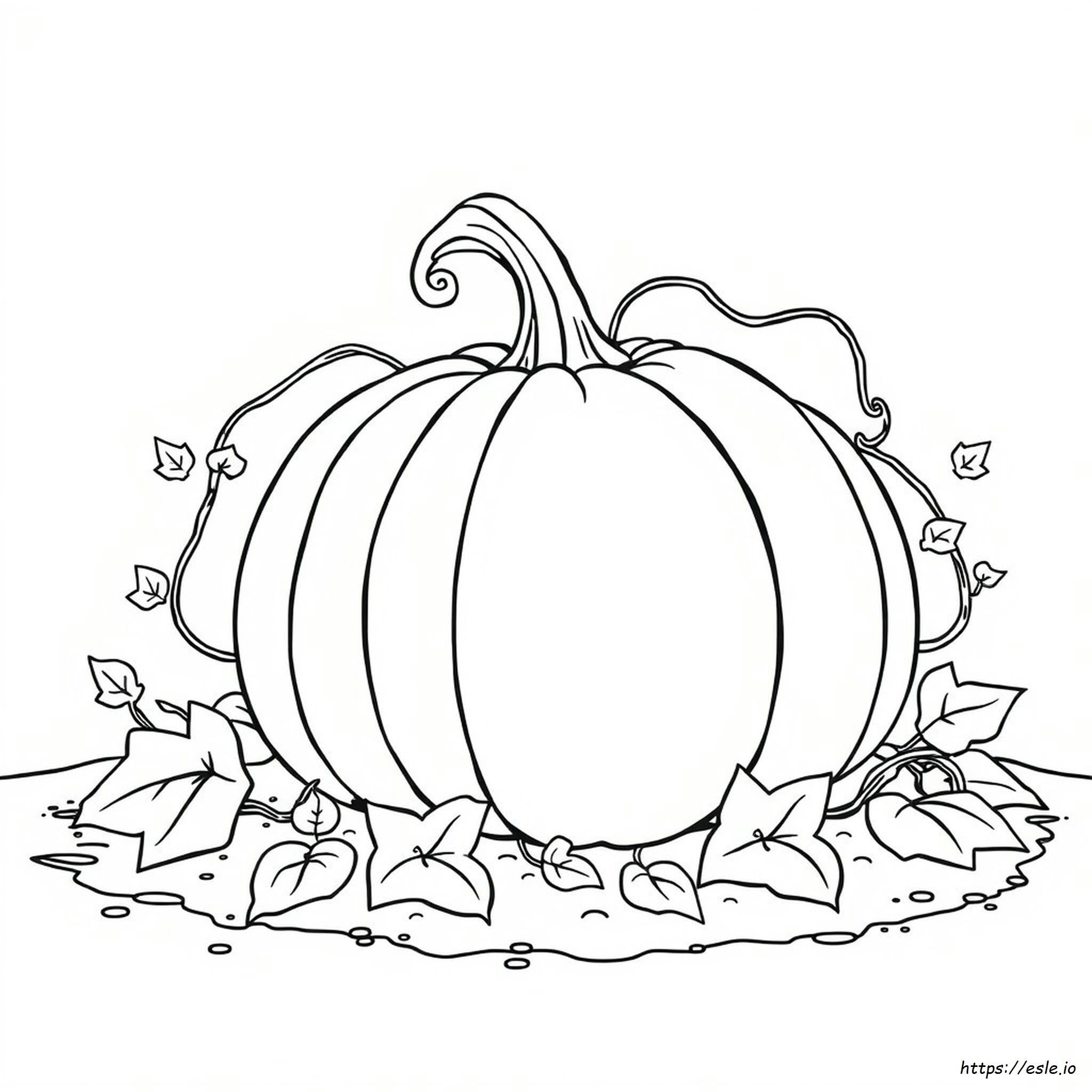 Coloriage Grande Citrouille