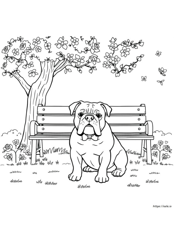 Coloriage De Bouledogue Anglais