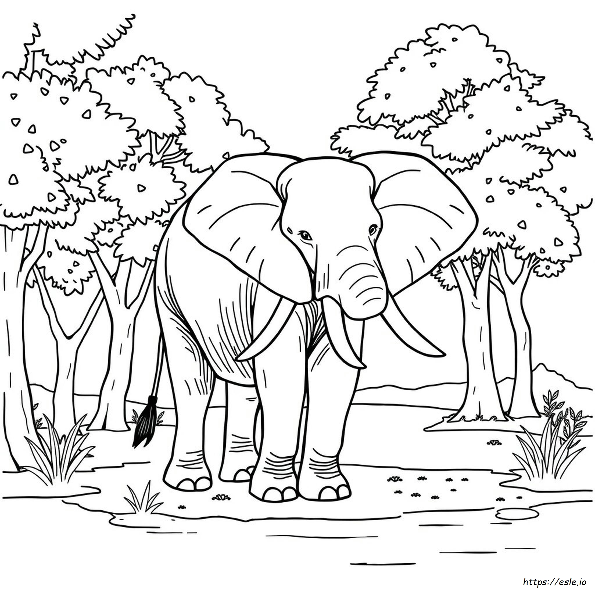 Elefant Ausmalbild