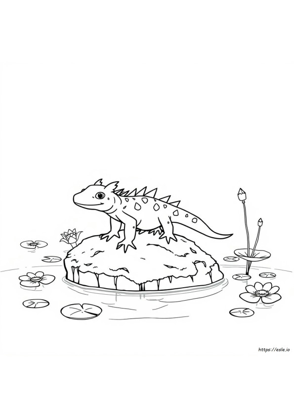 Axolotl Da Colorare Gratis