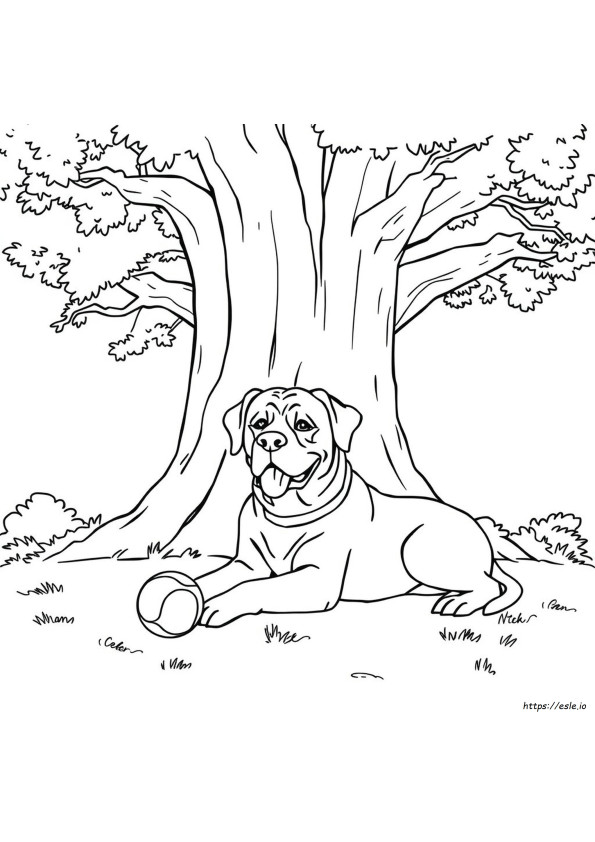 Coloriage Rottweiler