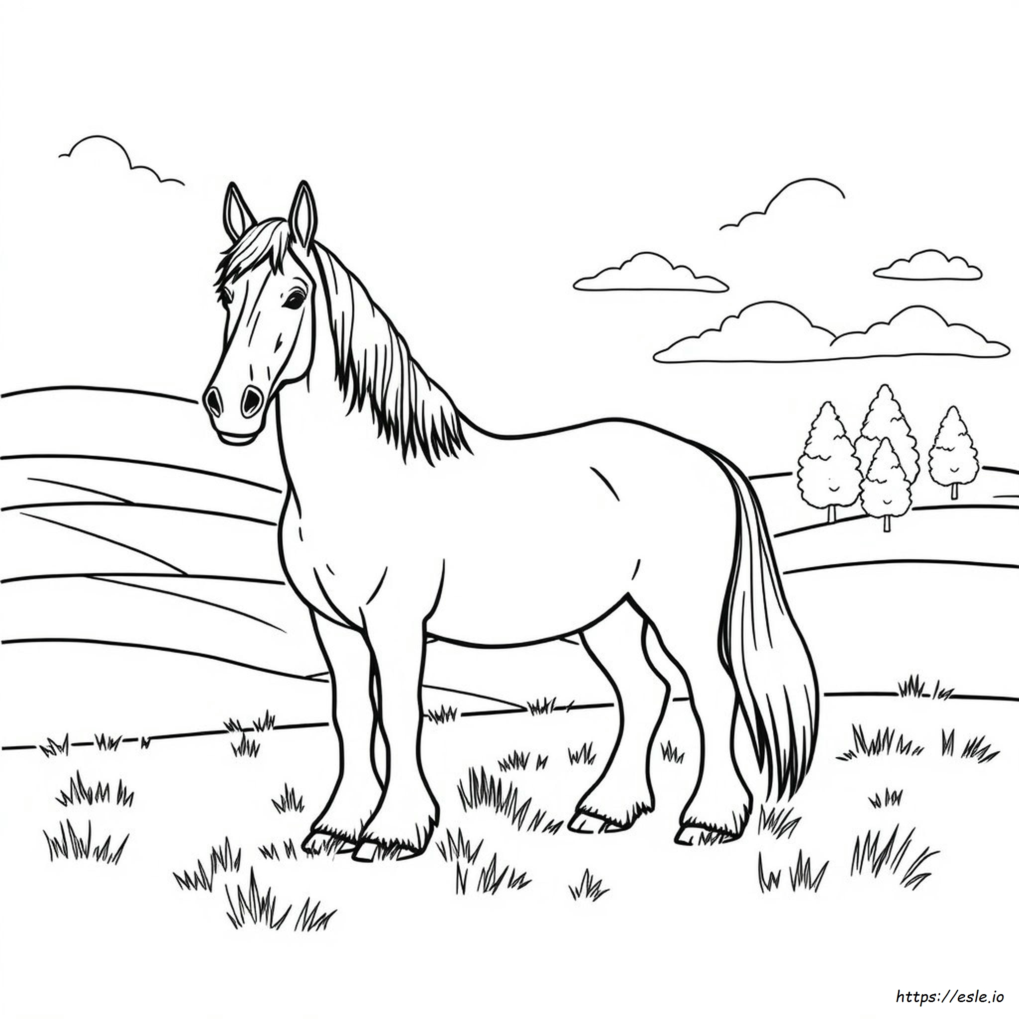 Clydesdale Coloring Pages